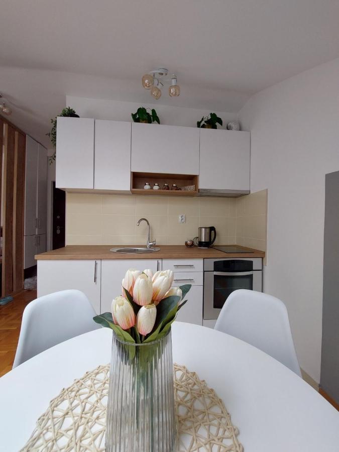 Apartamento Soul Stan Na Dan Novi Sad Exterior foto